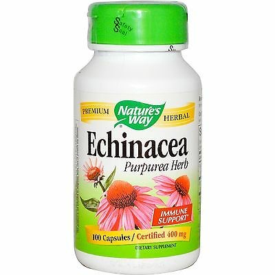 Echinacea purpurea Herb