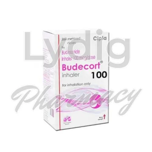 budecort without prescription